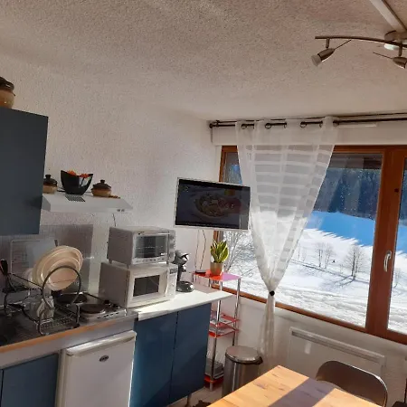 Les Glovettes De Lans Appartement *